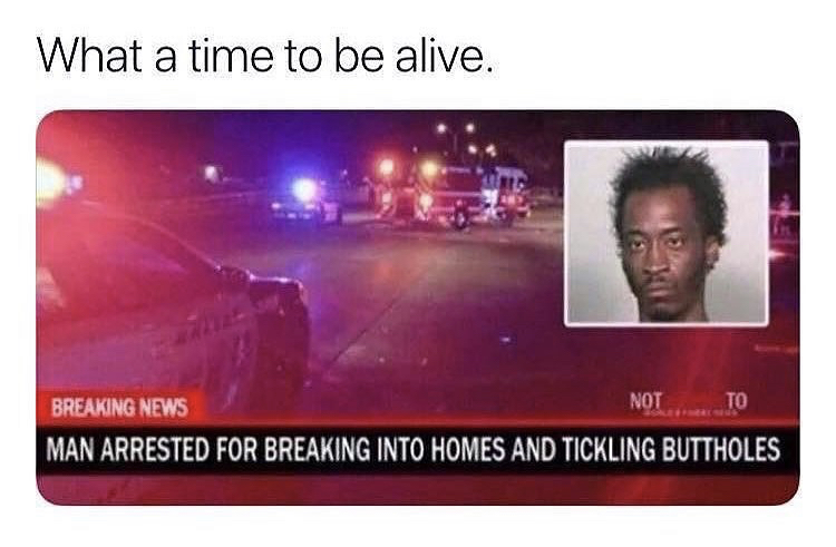 butthole tickler - What a time to be alive. Breaking News Not To Man Arrested For Breaking Into Homes And Tickling Buttholes