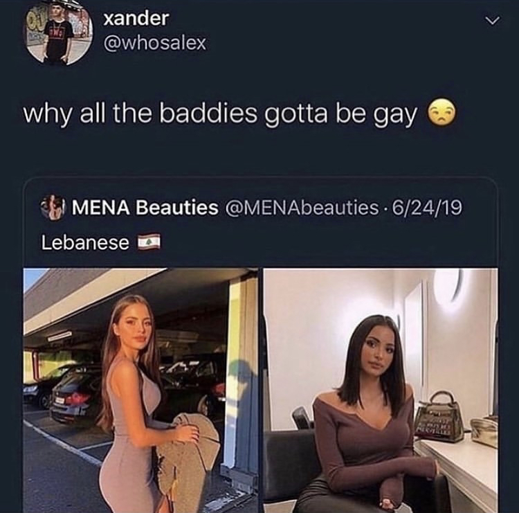 funny memes - mena baddies - xander why all the baddies gotta be gay Mena Beauties . 62419 Lebanese