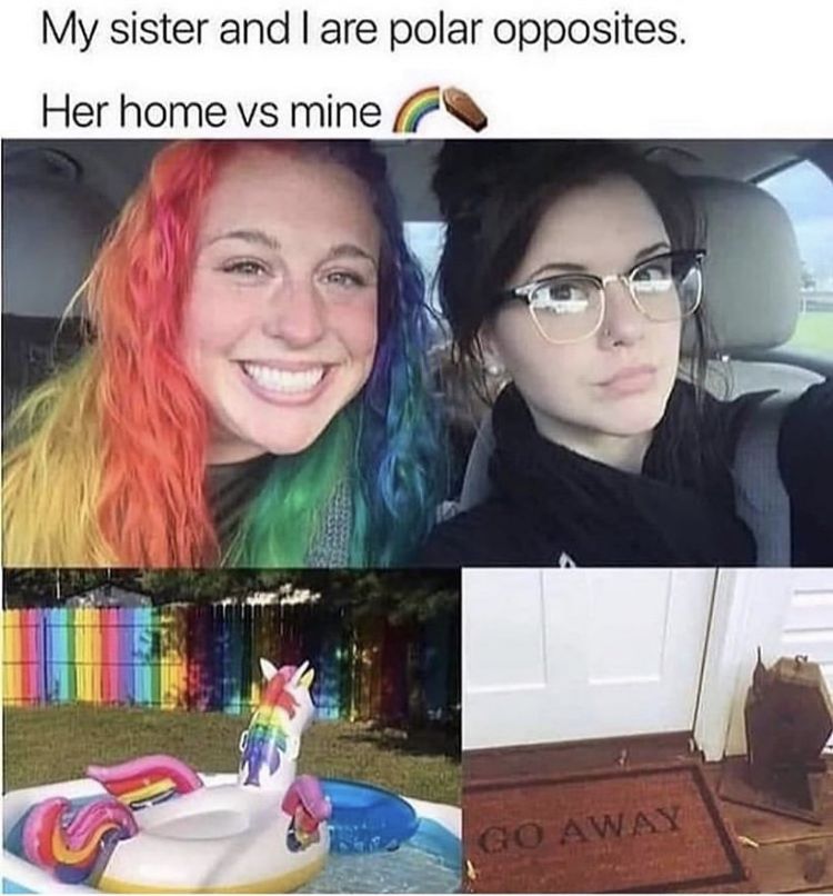 funny memes - my sister and i are polar opposites - My sister and I are polar opposites. Her home vs mine Away