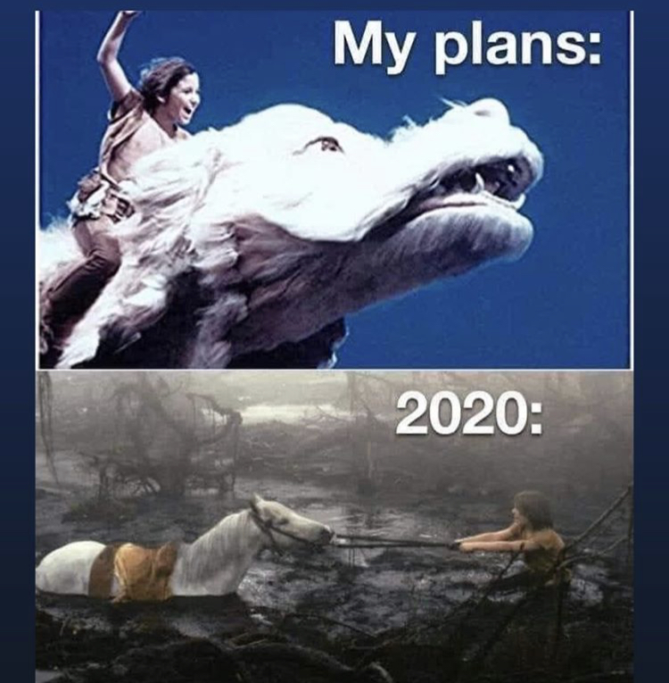 neverending story meme - My plans 2020