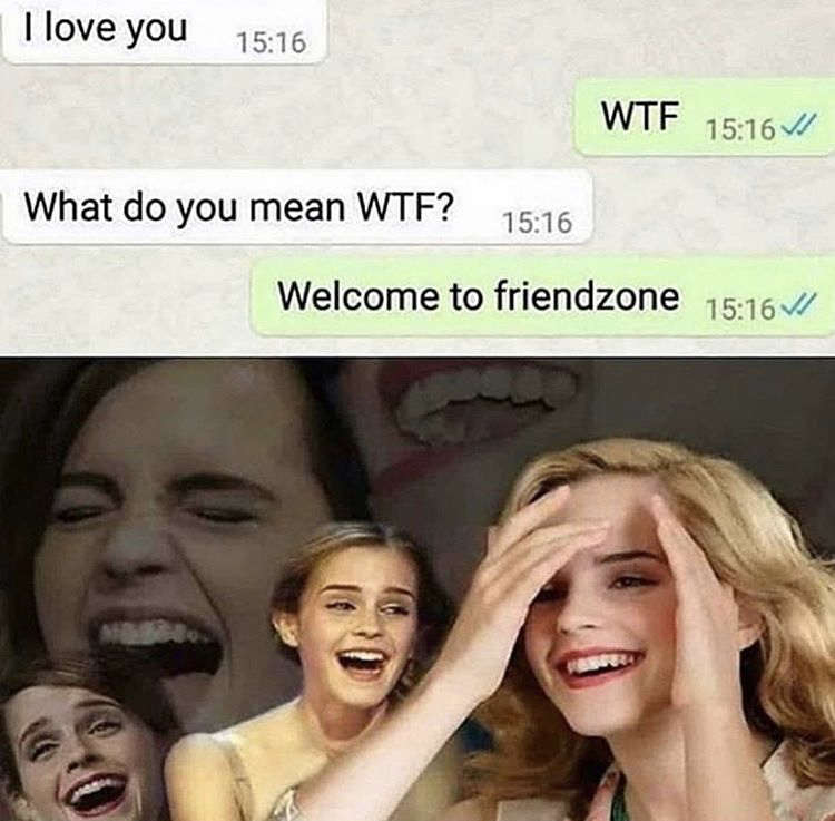laughing meme - I love you Wtf 11 What do you mean Wtf? Welcome to friendzone V