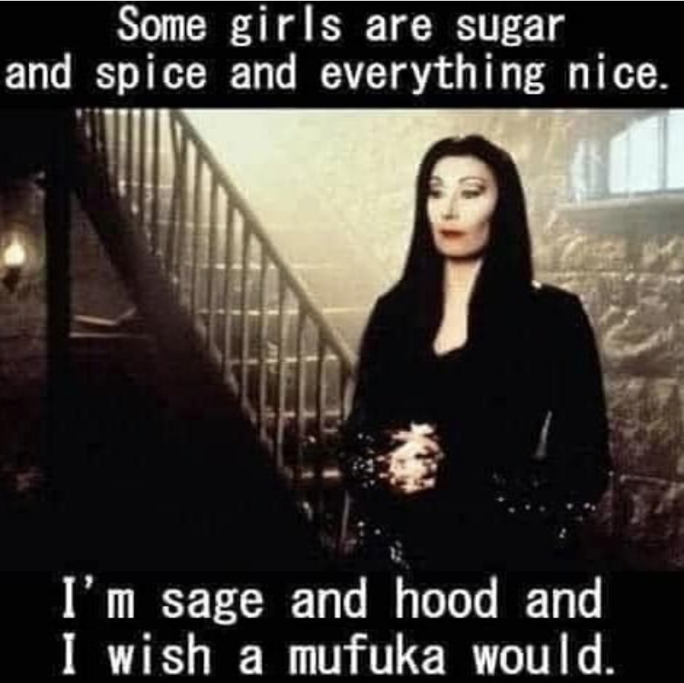 witch meme - Some girls are sugar and spice and everything nice. I'm sage and hood and I wish a mufuka would.