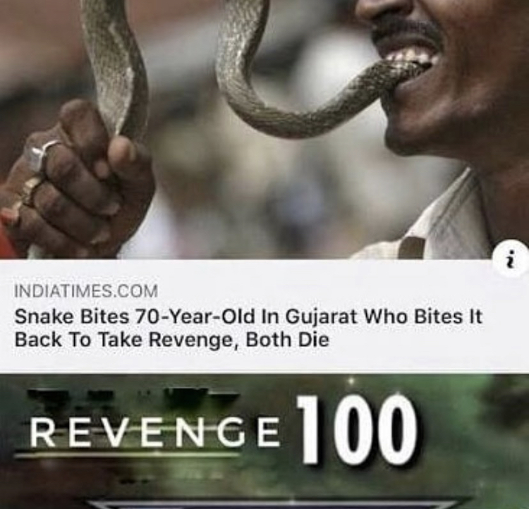 snake bites man - Indiatimes.Com Snake Bites 70YearOld In Gujarat Who Bites It Back To Take Revenge, Both Die Revenge 100