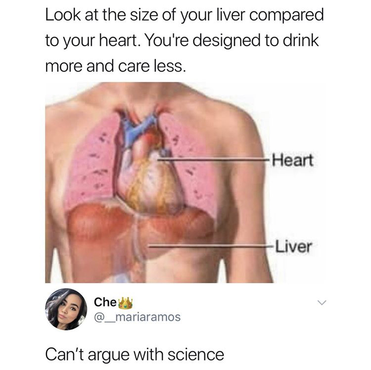 look at the size of your liver compared to your heart - Look at the size of your liver compared to your heart. You're designed to drink more and care less. Heart Liver Che Can't argue with science