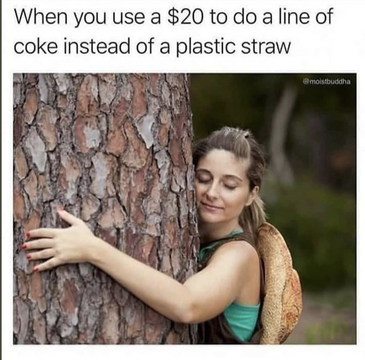 cocaine meme - When you use a $20 to do a line of coke instead of a plastic straw moistbuddha