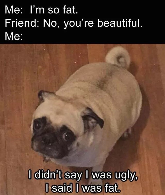 didnt say i was ugly i said - Me I'm so fat. Friend No, you're beautiful. Me I didn't say I was ugly, I said I was fat.