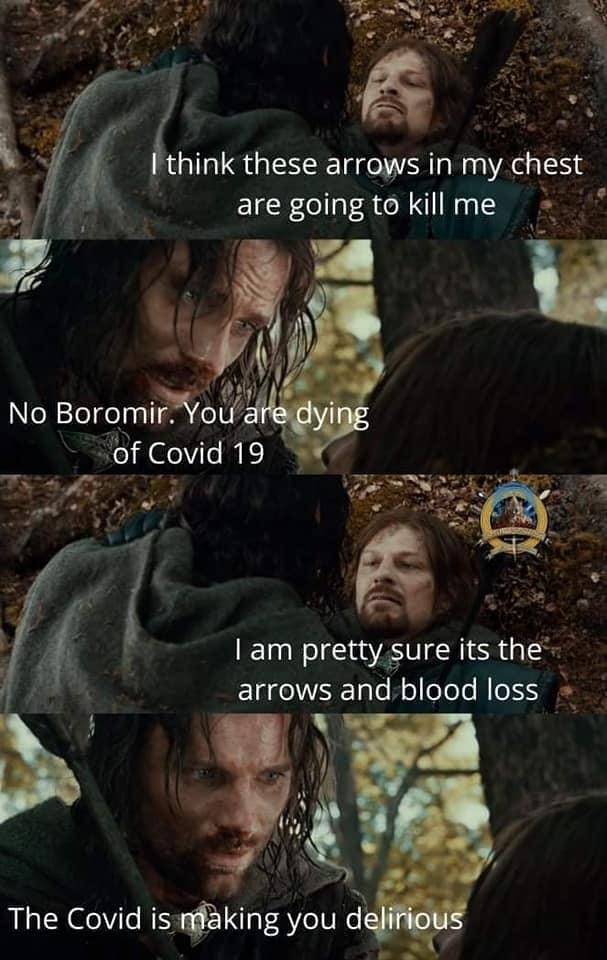 photo caption - I think these arrows in my chest are going to kill me No Boromir. You are dying of Covid 19 I am pretty sure its the arrows and blood loss The Covid is making you delirious