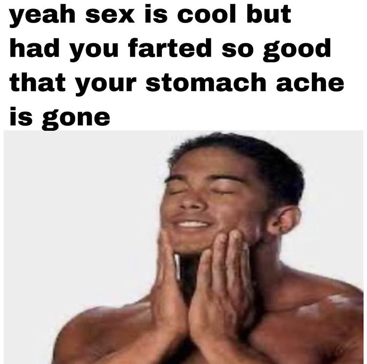 Internet meme - yeah sex is cool but had you farted so good that your stomach ache is gone