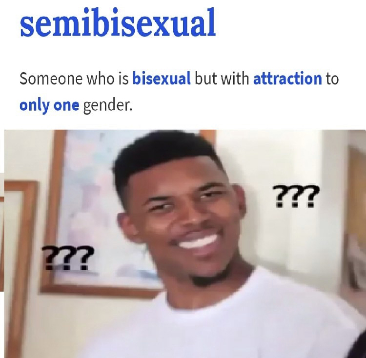 lol ok meme - semibisexual Someone who is bisexual but with attraction to only one gender ???? ???