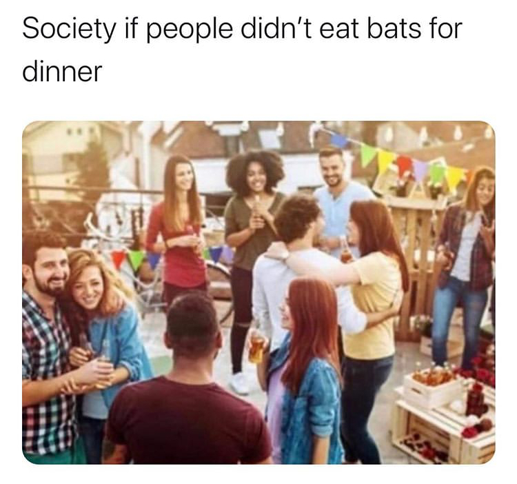 dank memes - society if people didn t eat bats - Society if people didn't eat bats for dinner