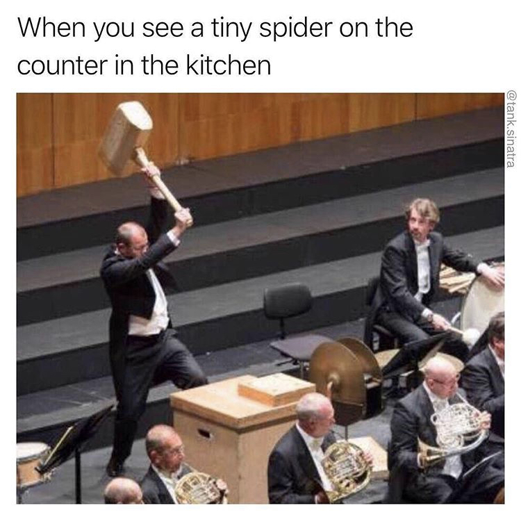weird niche humor meme - When you see a tiny spider on the counter in the kitchen .sinatra