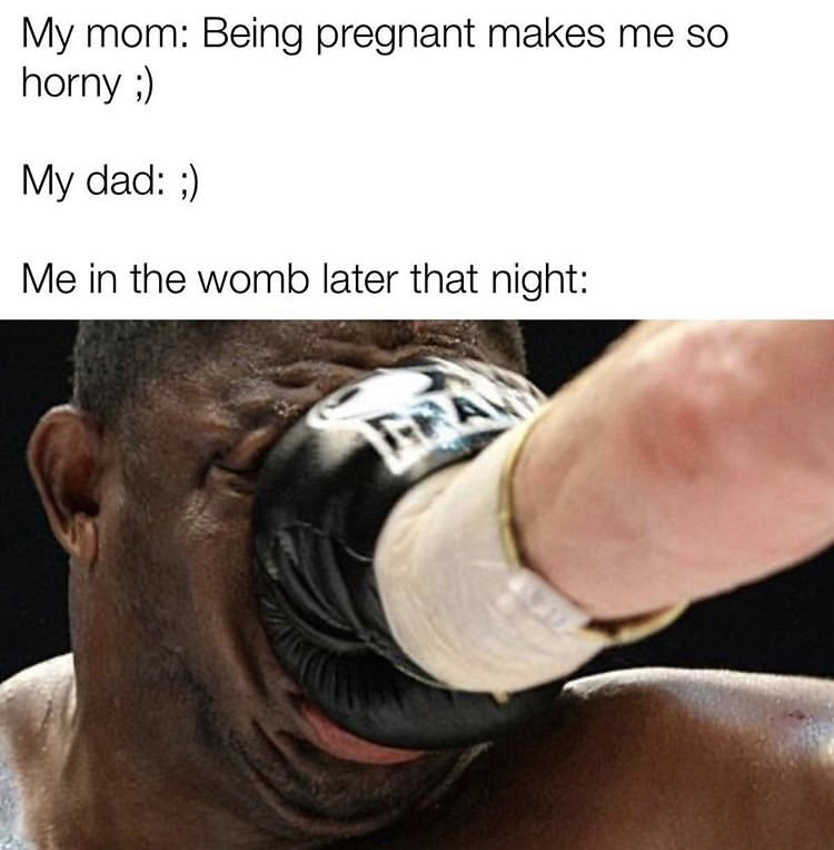 funny memes - perfectly timed punch - My mom Being pregnant makes me so horny My dad ; Me in the womb later that night