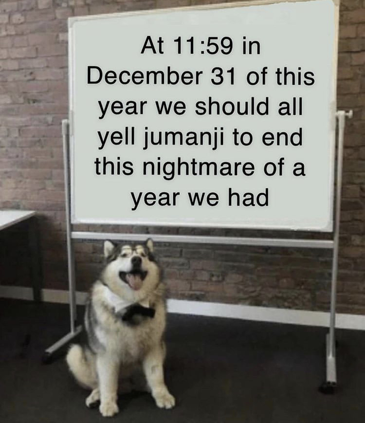 funny memes - professor pup - At in December 31 of this year we should all yell jumanji to end this nightmare of a year we had