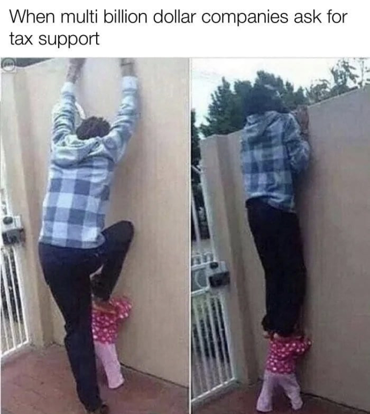 my niece strong - When multi billion dollar companies ask for tax support