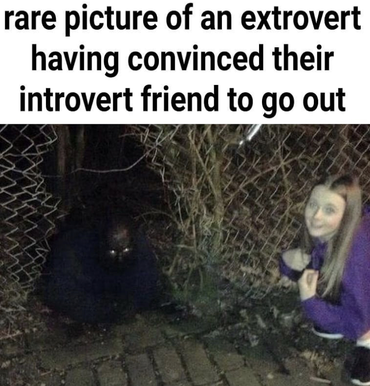 weird scary uncomfortable - rare picture of an extrovert having convinced their introvert friend to go out