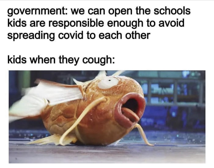 cursed magikarp - government we can open the schools kids are responsible enough to avoid spreading covid to each other kids when they cough