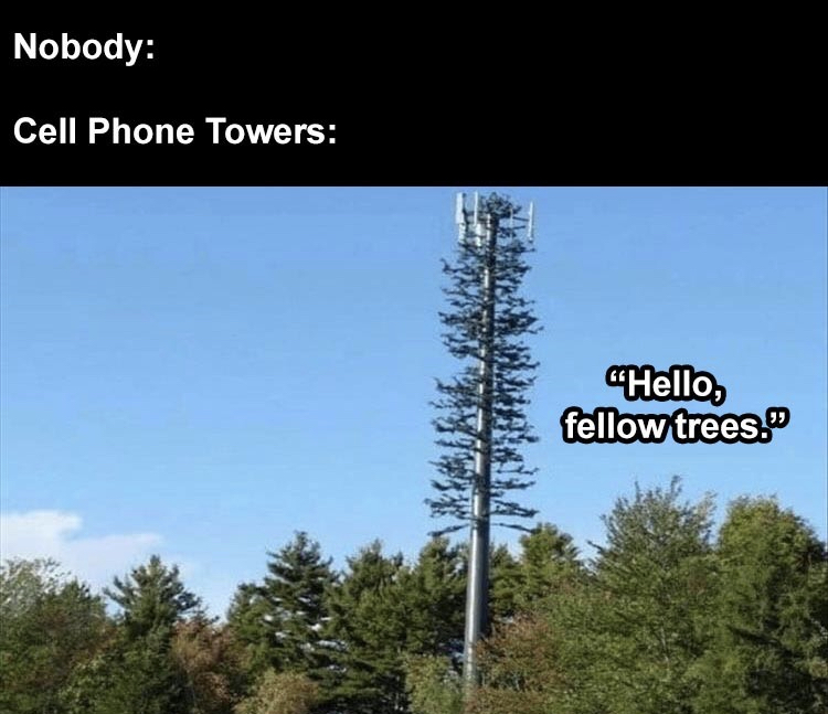 cellphone tower tree - Nobody Cell Phone Towers "Hello, fellow trees.