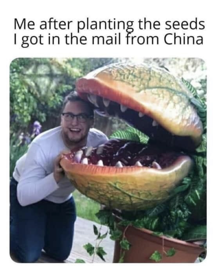 giant man eating plant - Me after planting the seeds I got in the mail from China