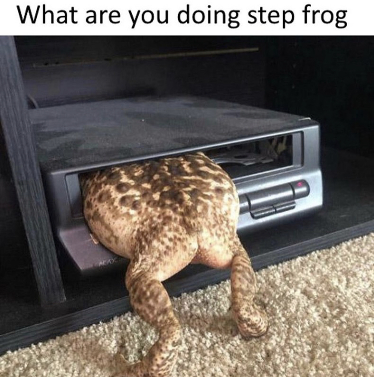 fauna - What are you doing step frog