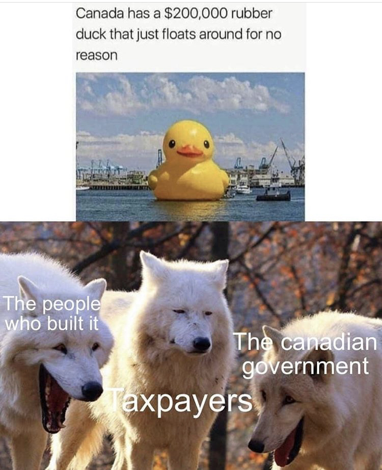laughing wolf meme - Canada has a $200,000 rubber duck that just floats around for no reason The people who built it The canadian government axpayers
