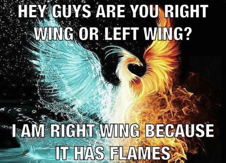 feeniks birds - Hey Guys Are You Right Wing Or Left Wing? I Am Right Wing Because It Has Flames