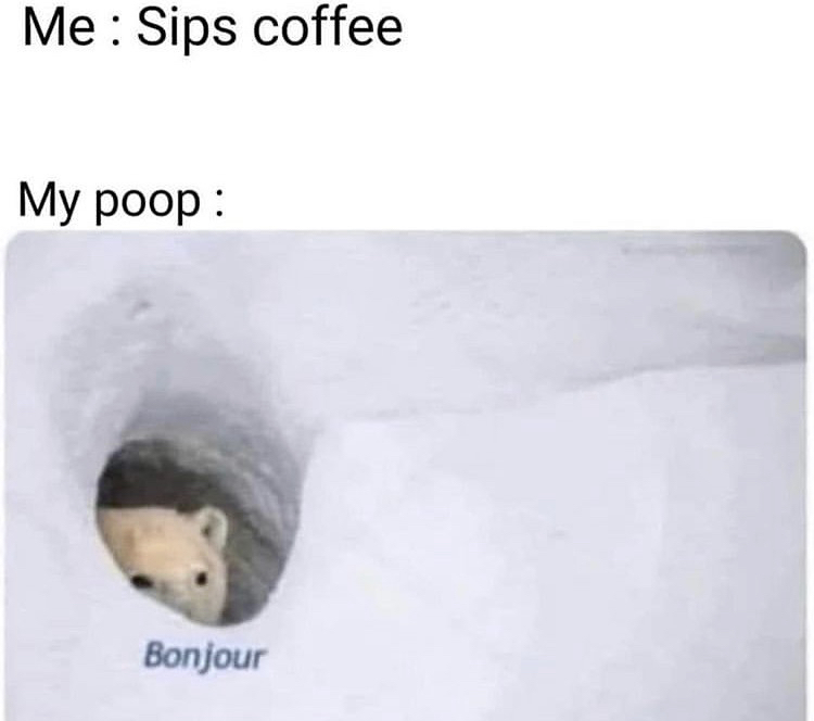 sips coffee meme bonjour - Me Sips coffee My poop Bonjour