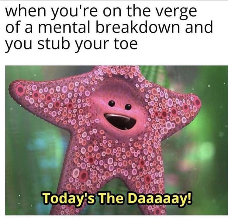 you re on the verge - when you're on the verge of a mental breakdown and you stub your toe Today's The Daaaaay!