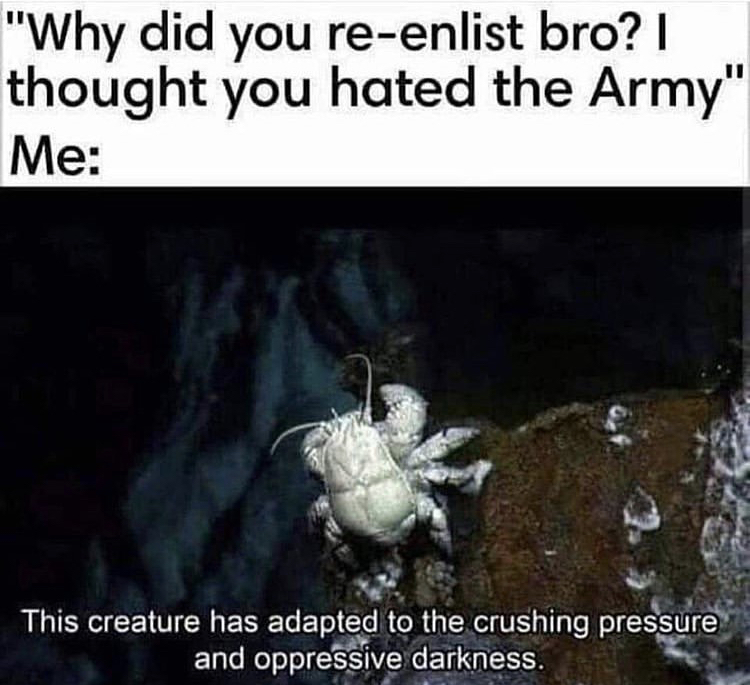 creature has adapted to the crushing pressure - "Why did you reenlist bro? I thought you hated the Army" Me This creature has adapted to the crushing pressure and oppressive darkness.
