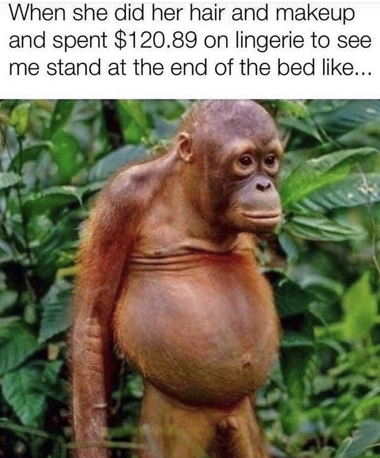 orangutan meme - When she did her hair and makeup and spent $120.89 on lingerie to see me stand at the end of the bed ...