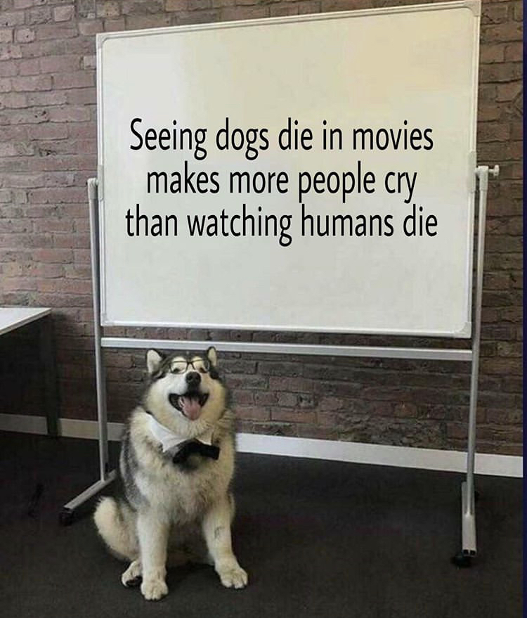 not all dogs are good boys - Seeing dogs die in movies makes more people cry than watching humans die