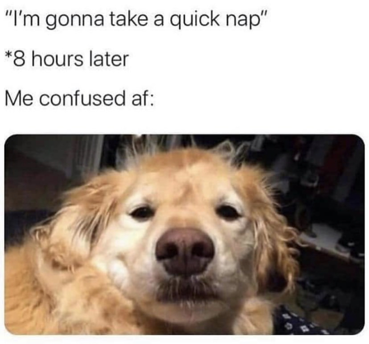 wake up 10 hours later meme - "I'm gonna take a quick nap" 8 hours later Me confused af