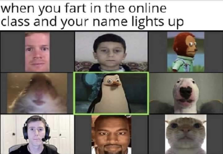 dark meme - when you fart in the online class and your name lights up
