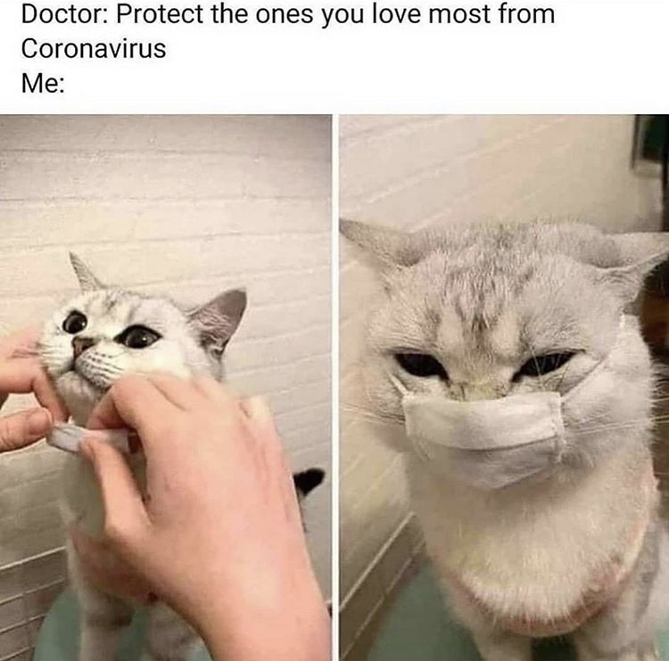 animal covid memes - Doctor Protect the ones you love most from Coronavirus Me