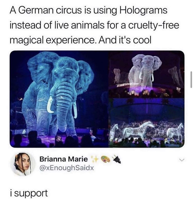 A German circus is using Holograms instead of live animals for a crueltyfree magical experience. And it's cool Brianna Marie Saidx i support