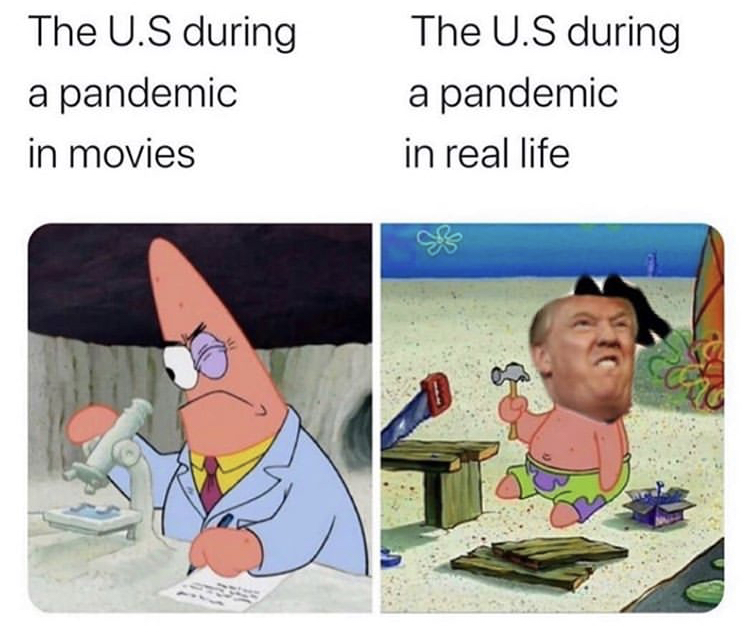 patrick star funny - The U.S during a pandemic in movies The U.S during a pandemic in real life