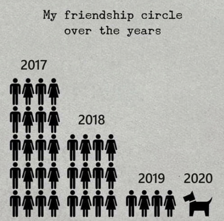 My friendship circle over the years - in the end he's only friends with his dog
