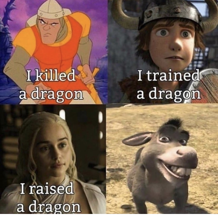 shrek donkey meme - I killed a dragon I trained a dragon I raised a dragon