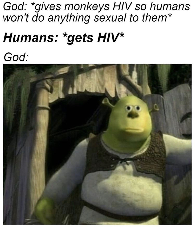 memes your parents don t understand - God gives monkeys Hiv so humans won't do anything sexual to them Humans gets Hiv God