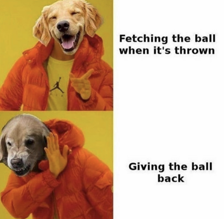 hotline bling dog meme - Fetching the ball when it's thrown Giving the ball back