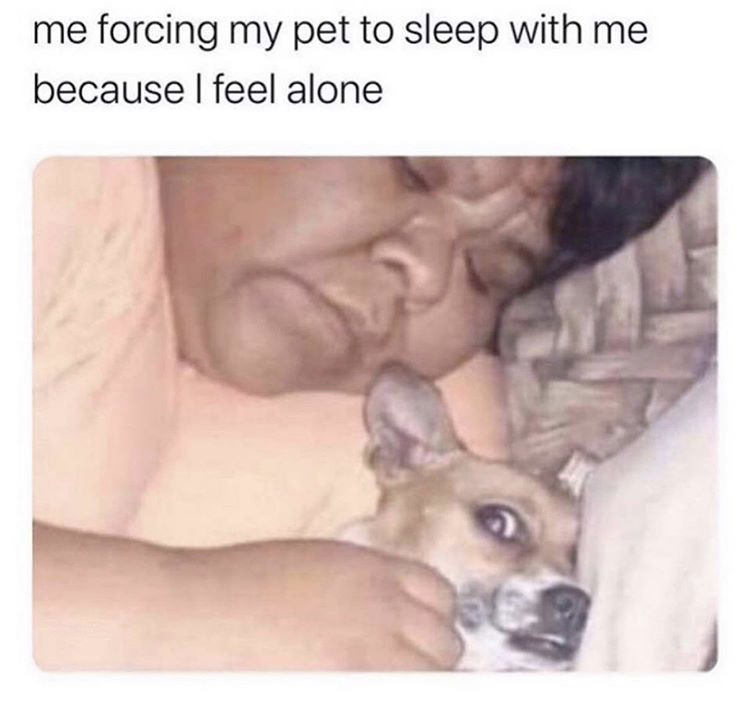 me forcing my pet to sleep with me because I feel alone