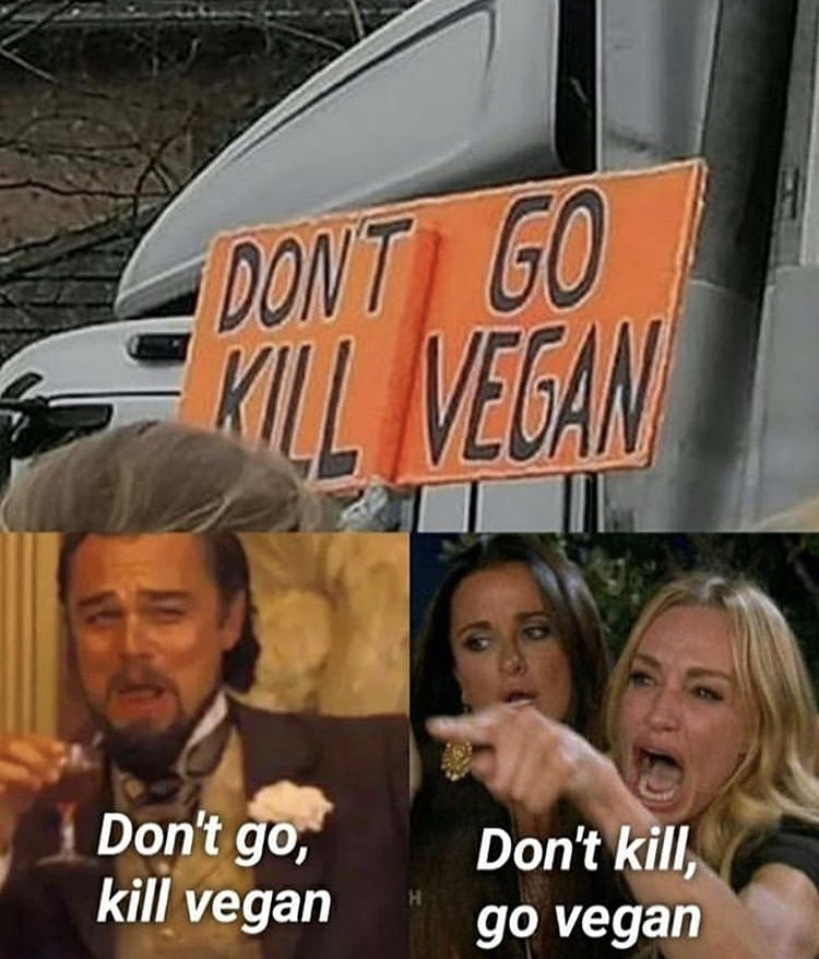 photo caption - Dont Go Kiil Vegan Don't go, kill vegan Don't kill, go vegan