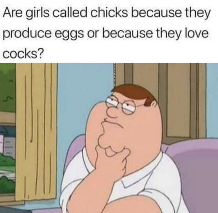 same shit different day joke - Are girls called chicks because they produce eggs or because they love cocks? 20