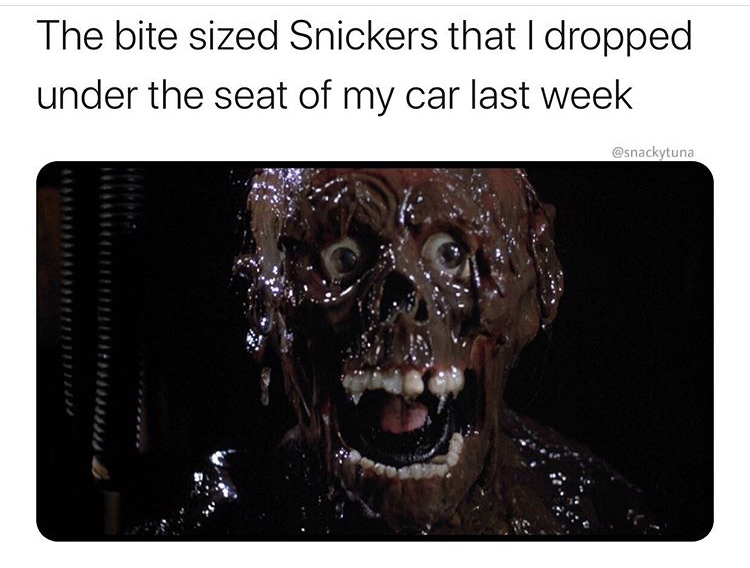 return of the living dead zombie - The bite sized Snickers that I dropped under the seat of my car last week