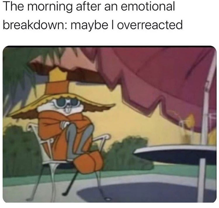 self care day meme - The morning after an emotional breakdown maybel overreacted