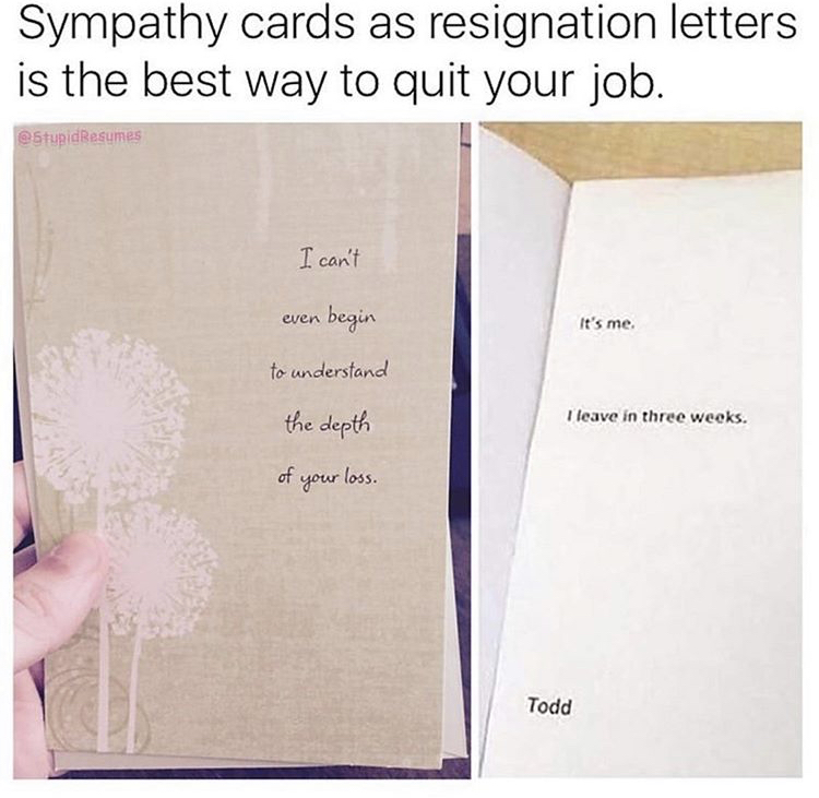 best resignation letter meme - Sympathy cards as resignation letters is the best way to quit your job. Resumes I can't even begin It's me. to understand the depth I leave in three weeks. of your loss. Todd