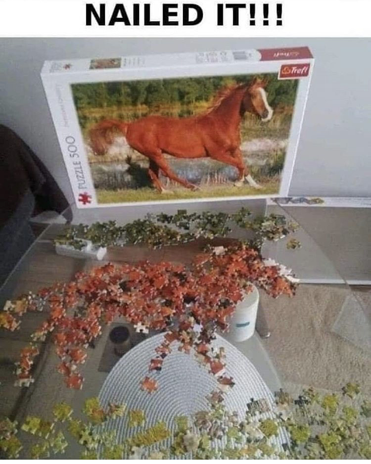 horse puzzle nailed - Nailed It!!! G Puzzle 500