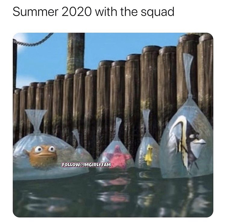 summer 2020 meme - Summer 2020 with the squad Imgirlyfam
