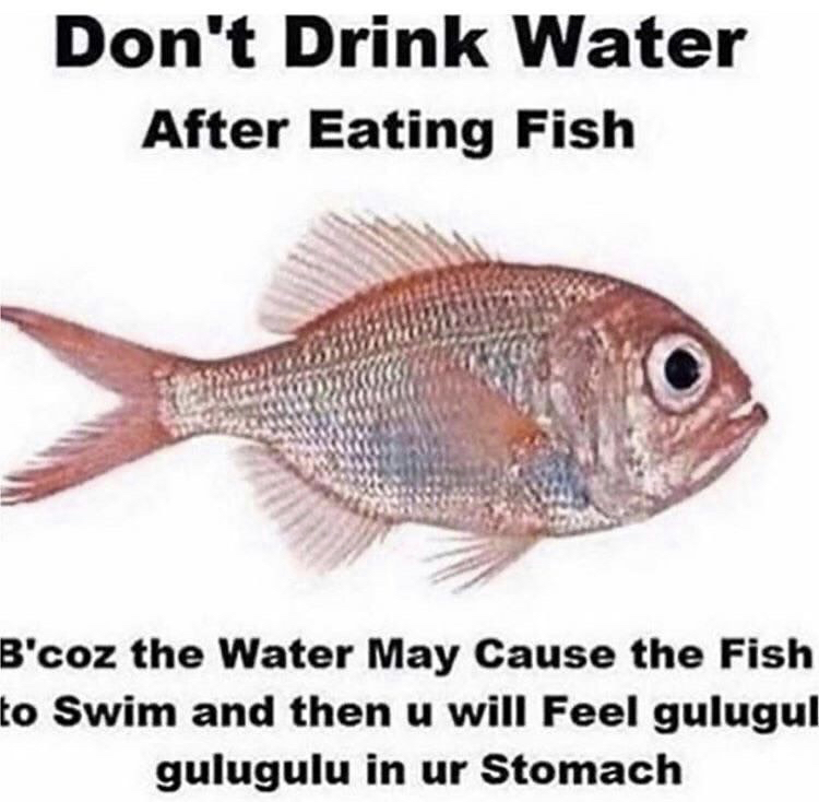 Joke - Don't Drink Water After Eating Fish B'coz the Water May Cause the Fish to Swim and then u will Feel gulugul gulugulu in ur Stomach