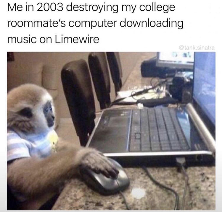 baby monkey on computer - Me in 2003 destroying my college roommate's computer downloading music on Limewire .sinatra