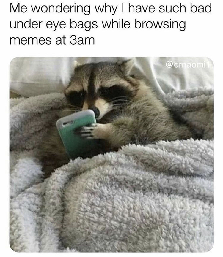 coronavirus memes - Me wondering why I have such bad under eye bags while browsing memes at 3am